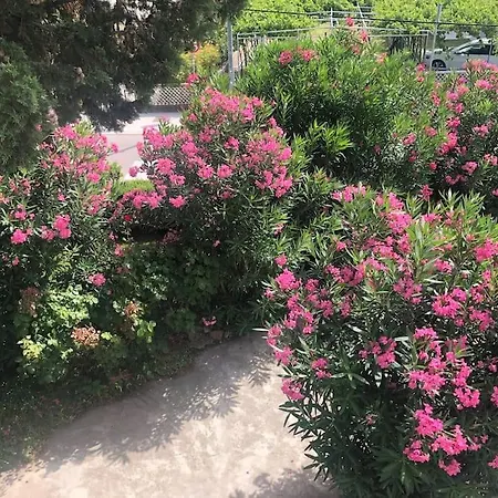 Milazzi, Fully Air-conditioned Baška