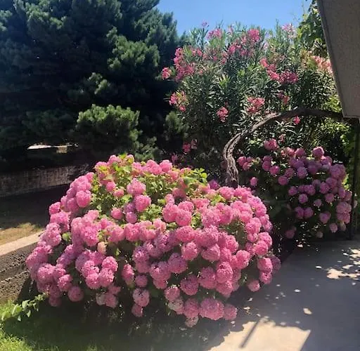 Apartamento Milazzi, Fully Air-conditioned