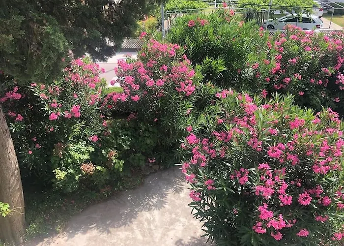 Milazzi, Fully Air-conditioned Baška
