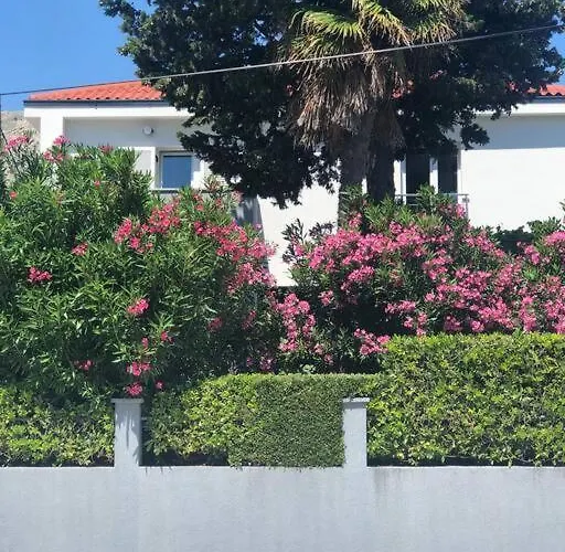 Milazzi, Fully Air-conditioned Baška